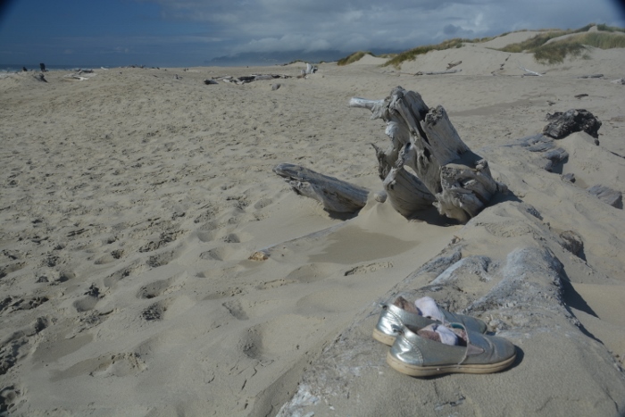 pair of girl's silver ballet shoes on driftwood
